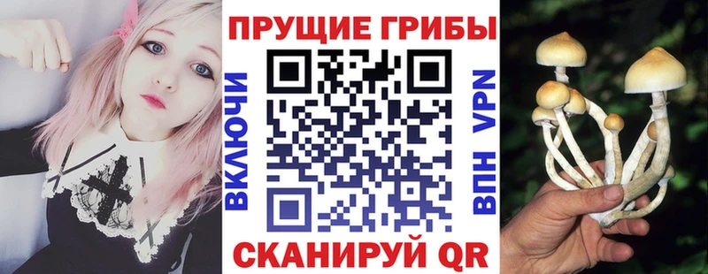 Галлюциногенные грибы Magic Shrooms  Тында 