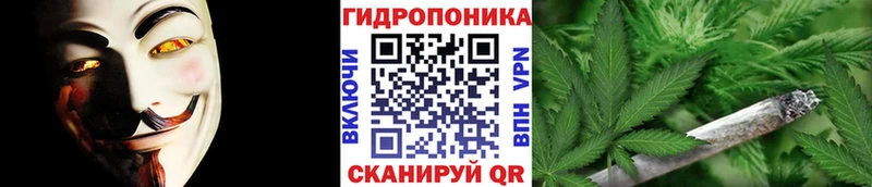 Каннабис MAZAR Тында